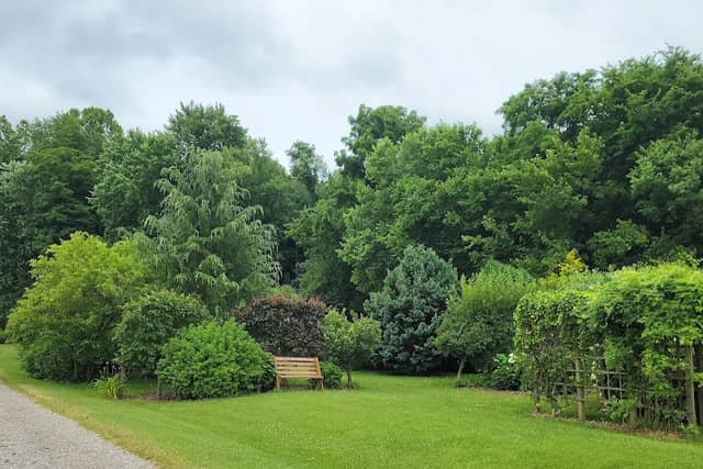Hartman Arboretum - Image 1