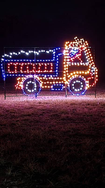 Gift of Lights- Dover - Image 1