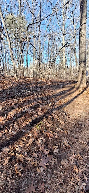 Attleboro Pond Trail - Image 1