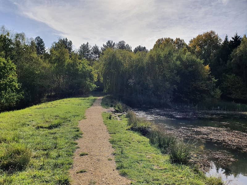 Bourne Wood - Image 2