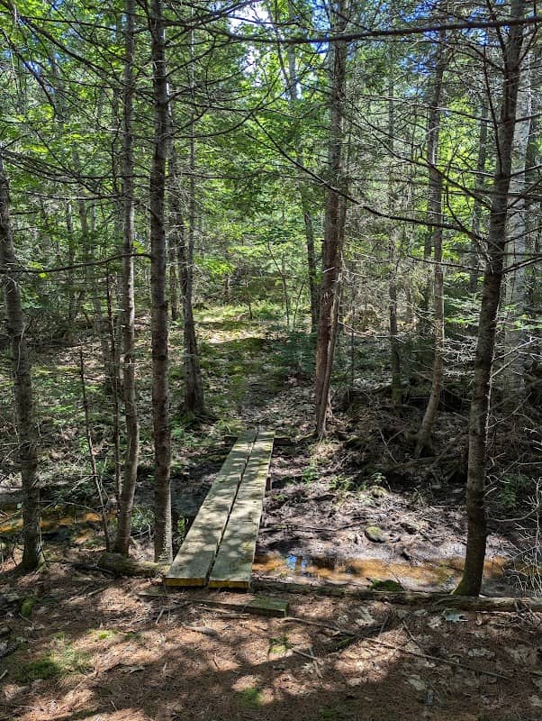 Geele Preserve - Image 1