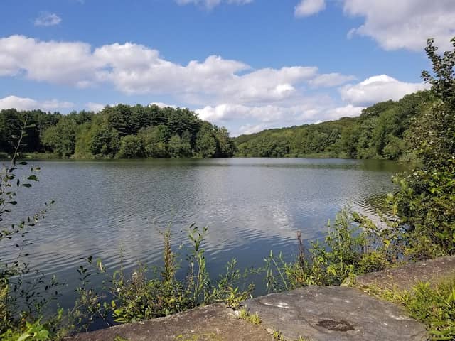 Witek Park - Image 1