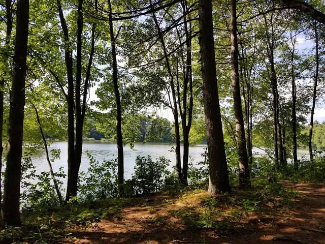 Witek Park - Image 2