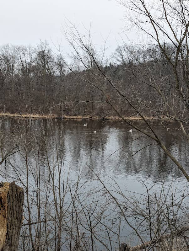 Fred Meijer Flat River Trail - Image 1