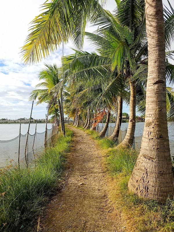 Tagalag Boardwalk - Image 2