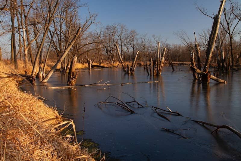 Pecatonica Wetlands Forest Preserve (North Entrance) - Image 1