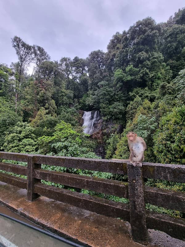 Kadambi Falls - Image 2