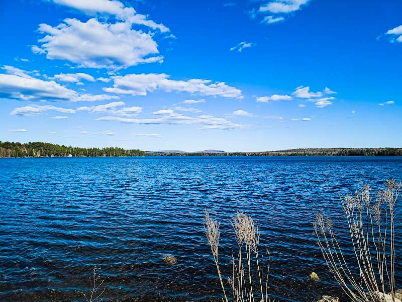Prince Thomas Park - Image 2