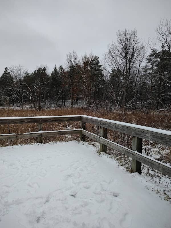 Marsh Outlook Deck - Image 3