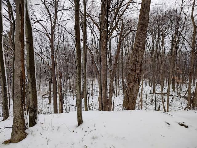 Marsh Outlook Deck - Image 1