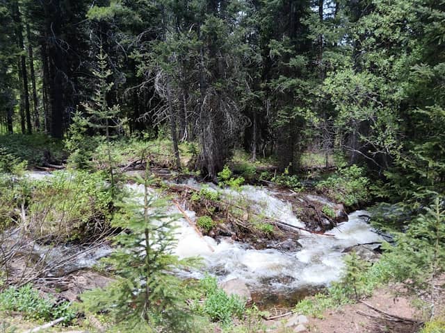 Grouse Creek Trailhead - Image 1