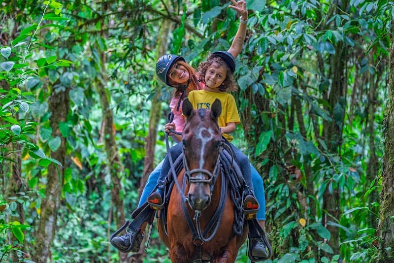 Pacos Horses - Image 2