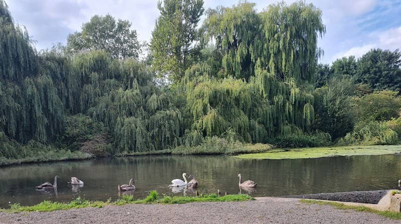 Witham Duck Pond - Image 2