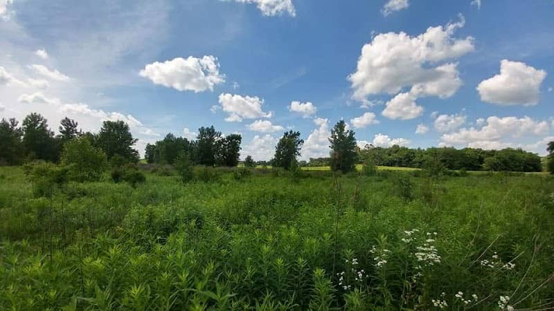 Turkeyfoot Preserve - Darke County Parks - Image 1