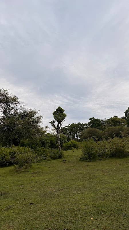 Sunset Point Pantai Cemongkak - Image 2