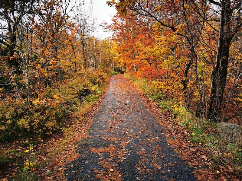 Mokollen - Image 3