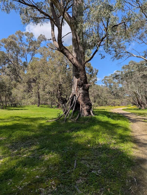 Leda Nature Reserve - Image 1