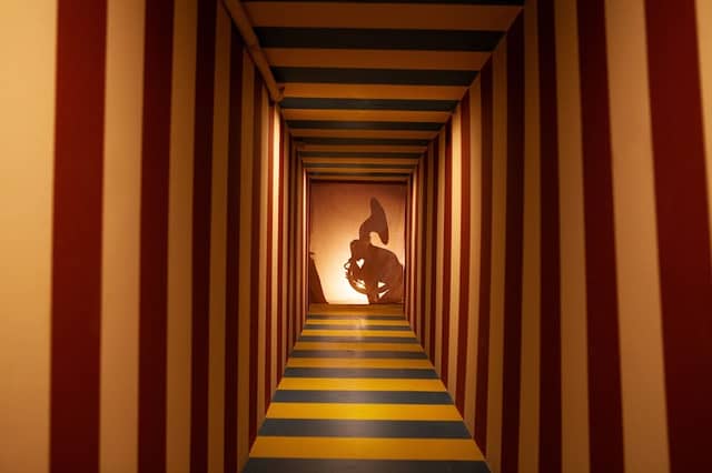Doloris Meta Maze Tilburg - Image 1