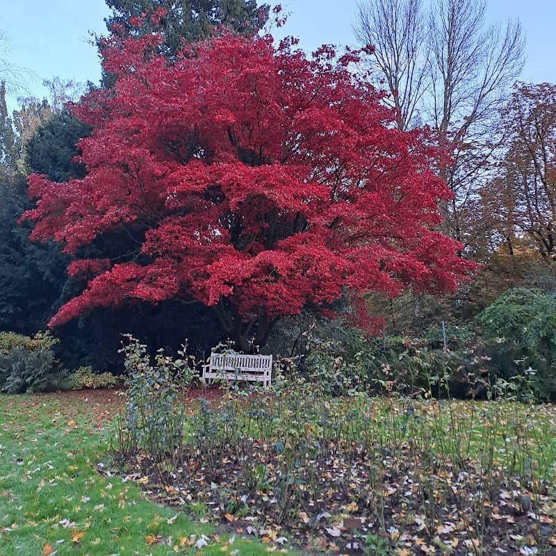 Rosengarten - Image 3