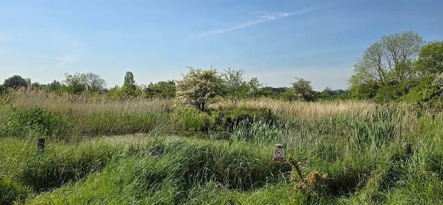 Bird Hide - Image 1