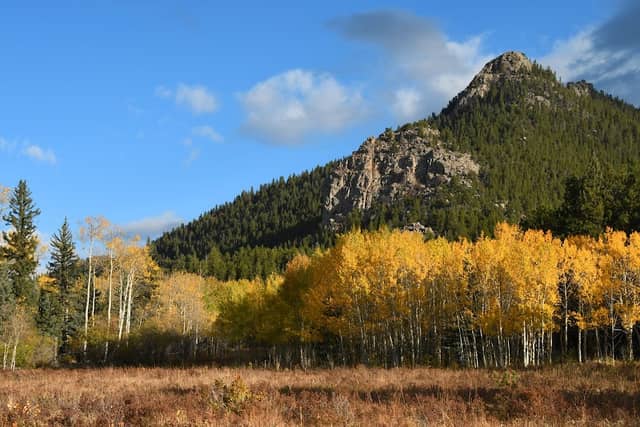 Greenfield Meadow - Image 1