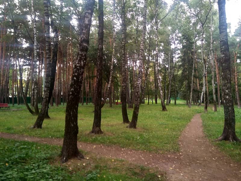 Park Sosenki - Image 1