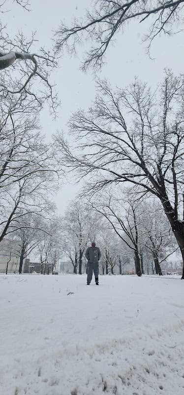 Wilson Park - Image 1