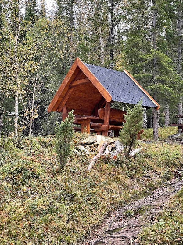 Åsmundplassen Mosåsen - Image 1