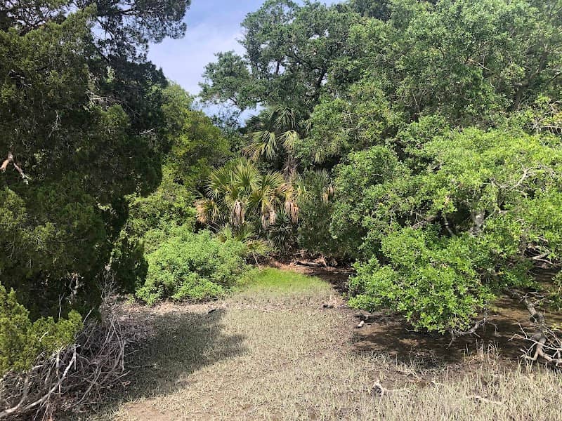 Saltwater Marsh Boardwalk - Image 3
