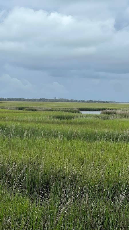Saltwater Marsh Boardwalk - Image 2