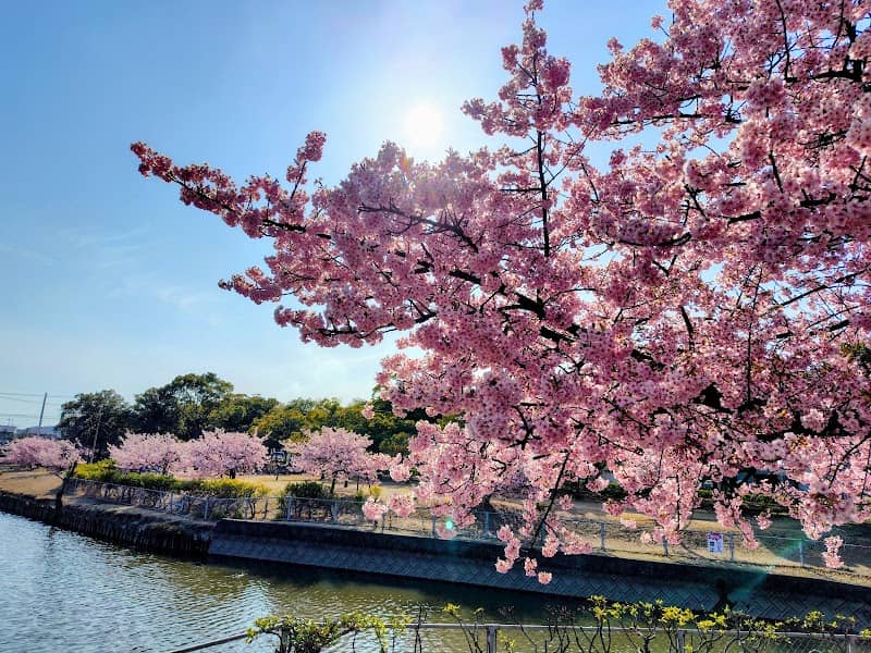 Mizushima Ryokuchi Fukuda Park - Image 1
