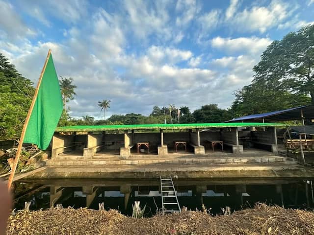 Cielo Verde - Image 2