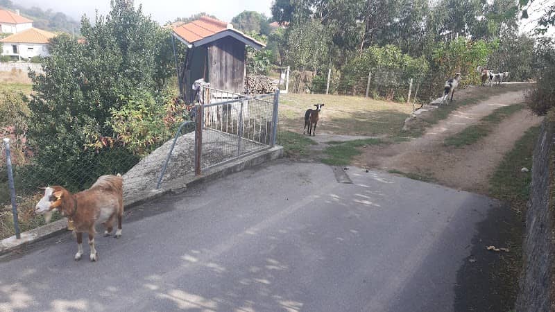 Sao Mamede - Image 2