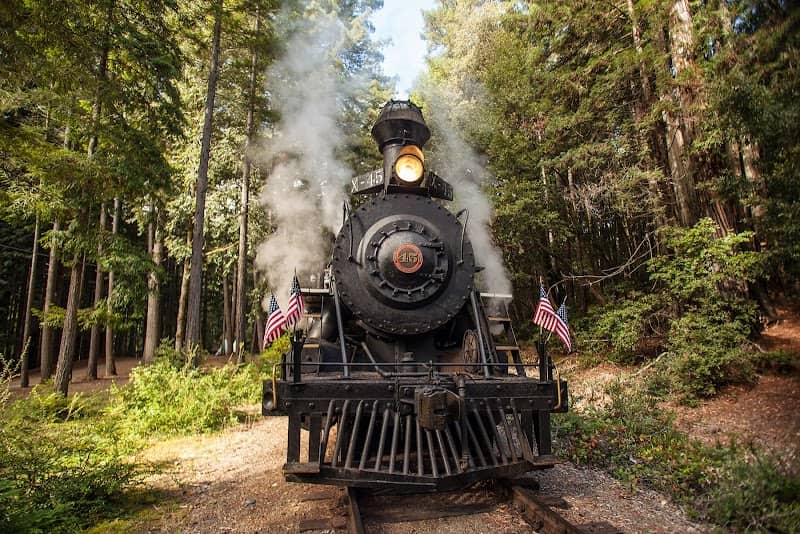 The Skunk Train - Image 1