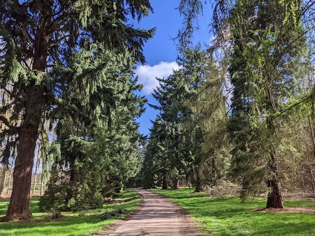 Rougham Park - Image 1