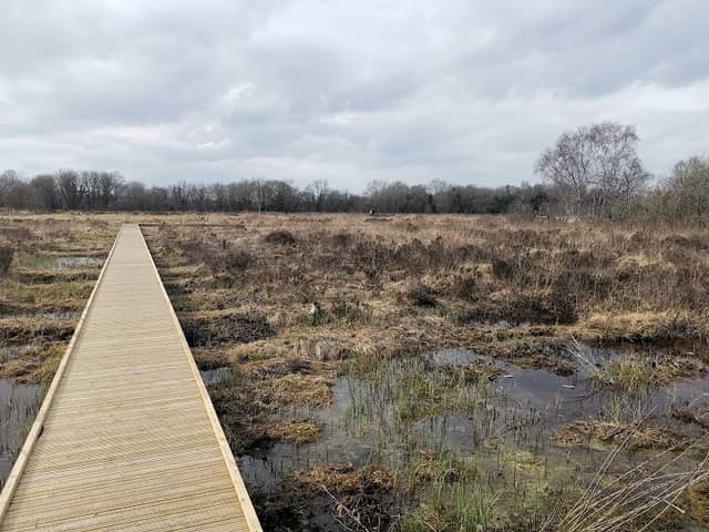 RSPB NI Montiaghs Moss Nature Reserve - Image 1
