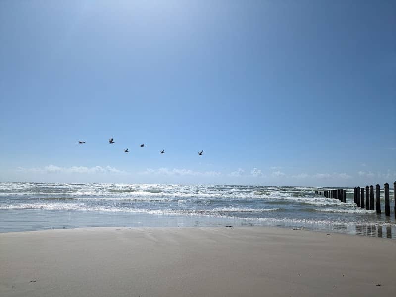 Sloth Beach - Image 1
