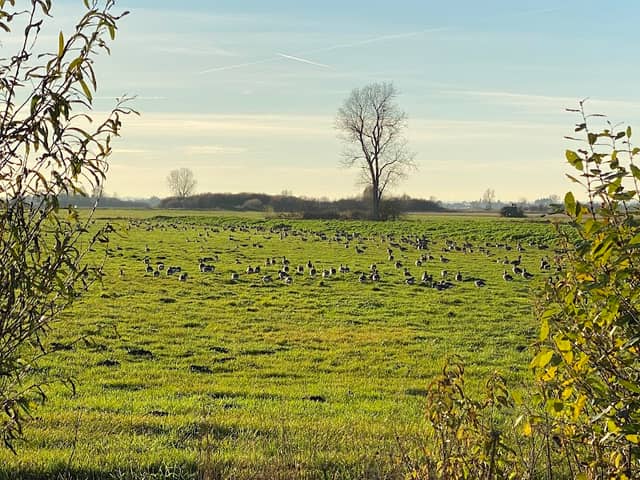 LIFE-Natur-Projekt Schwäbisches Donautal - Image 1