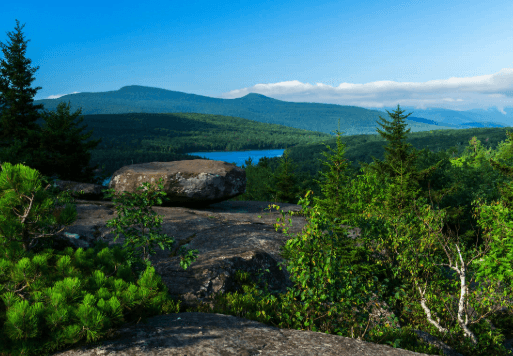 Catskill Park - Image 1