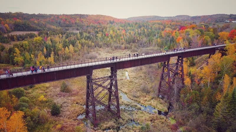 Doube's Trestle Bridge - Image 1