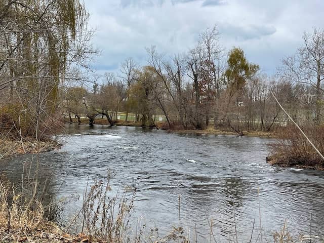 Paw Paw River County Park - Image 2