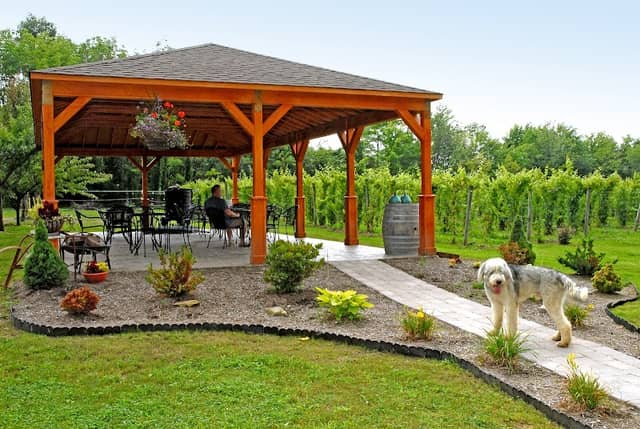 Maple Ridge Vineyard LLC - Image 2