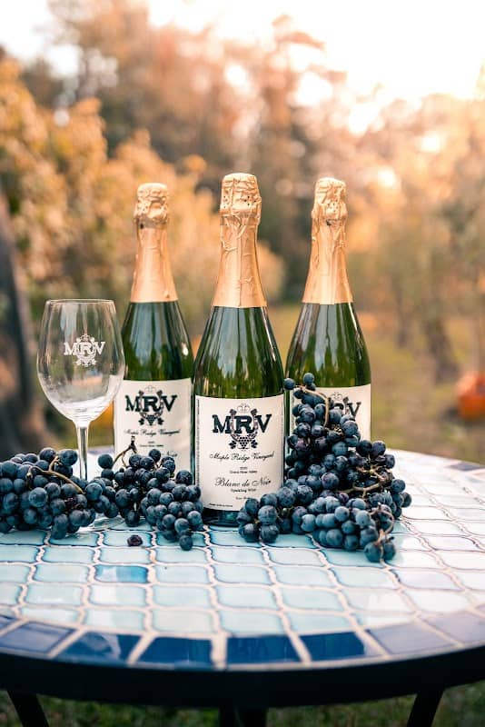 Maple Ridge Vineyard LLC - Image 1