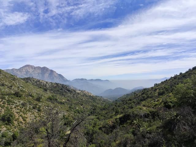 Palmas de Ocoa - Image 2