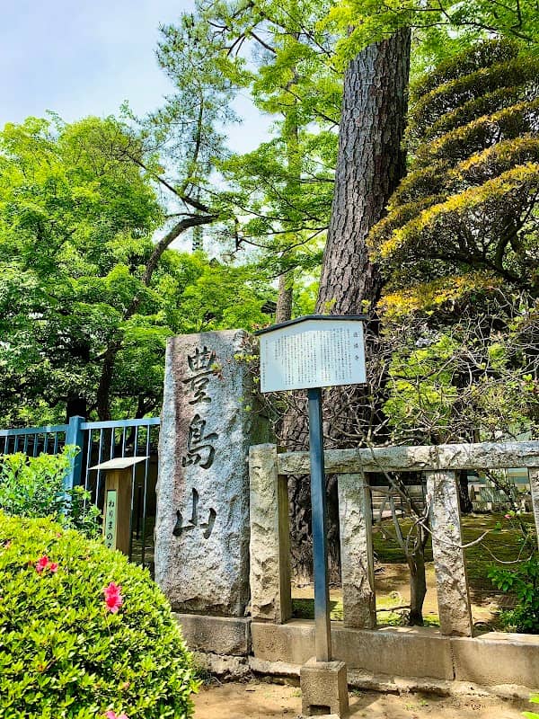 Black Pine of Dojoji - Image 2