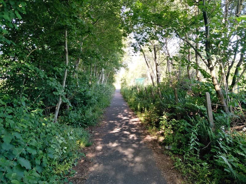 Pant y Sais National Nature Reserve - Image 2
