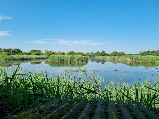 RSPB Ham Wall - Image 2