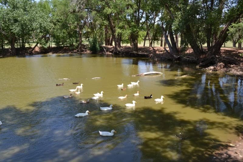 Ned Houk Memorial Park - Image 2