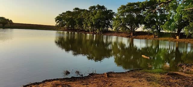Ned Houk Memorial Park - Image 1