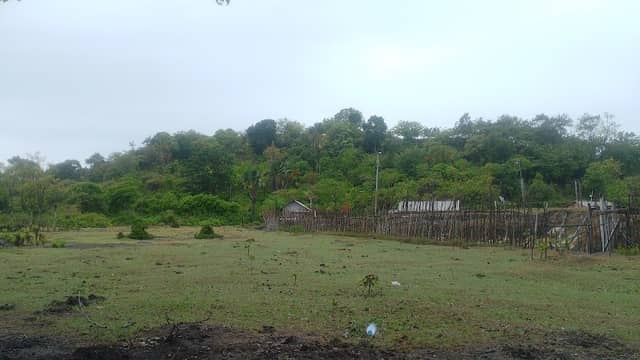 Blang Ulam - Image 1